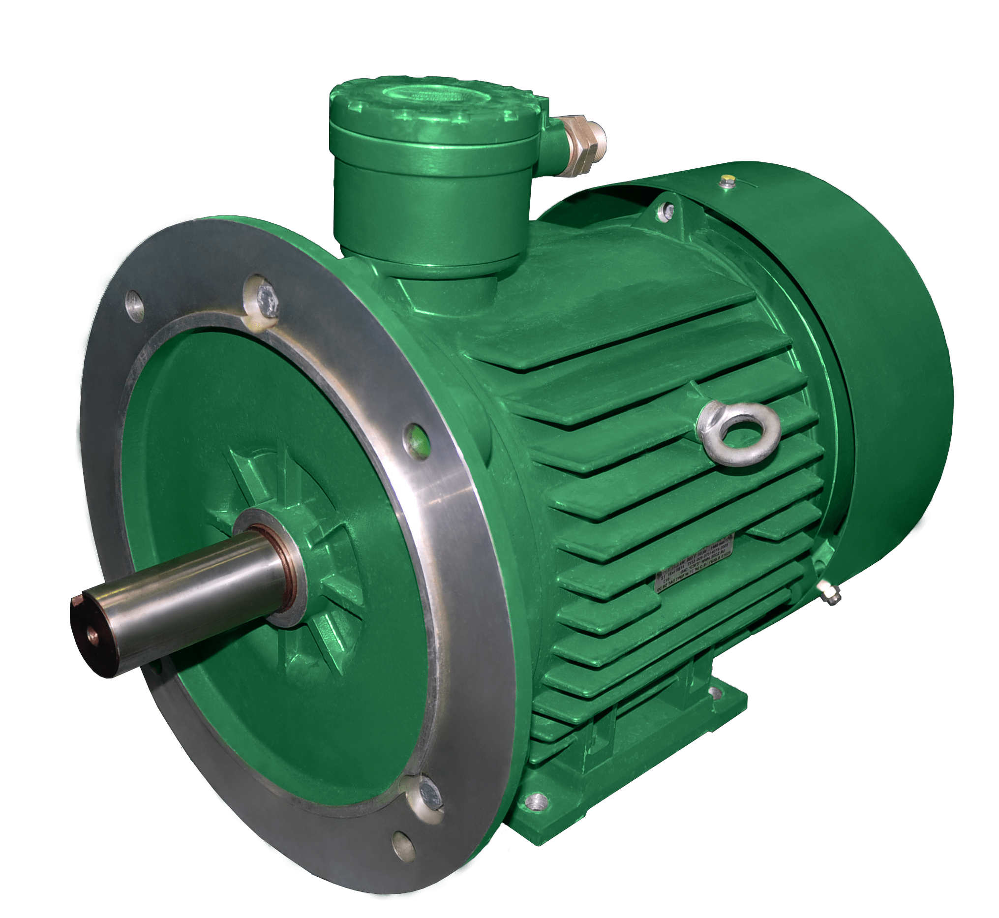 AIML 160 asynchronous explosion proof electric motor - Сарапульский электрогенераторный завод, АО - Electrical Equipment, Components & Telecoms buy wholesale from manufacturer and supplier on UDM.MARKET