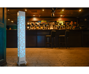 Бактерицидный светильник-рециркулятор Protector UV30 - ООО "УФ-Протекшн" - Дом, Мебель, Освещение и Строительство купить оптом от производителя на UDM.MARKET