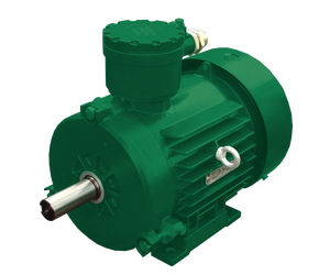АИМЛ 112 asynchronous explosion proof electric motor - Сарапульский электрогенераторный завод, АО - Electrical Equipment, Components & Telecoms buy wholesale from manufacturer and supplier on UDM.MARKET