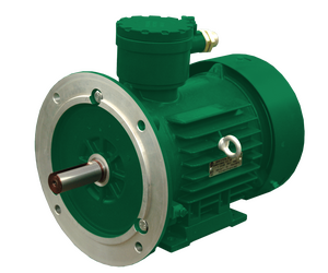 АИМЛ 112 asynchronous explosion proof electric motor - Сарапульский электрогенераторный завод, АО - Electrical Equipment, Components & Telecoms buy wholesale from manufacturer and supplier on UDM.MARKET