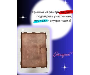 Ящик "Кажется нащупал", "Угадай кто", Треш коробка с 4 отверстиями , 39х29х29 см - ИНДИВИДУАЛЬНЫЙ ПРЕДПРИНИМАТЕЛЬ СТОЛБОВ СЕРГЕЙ АНАТОЛЬЕВИЧ - Игрушки и хобби купить оптом от производителя на UDM.MARKET