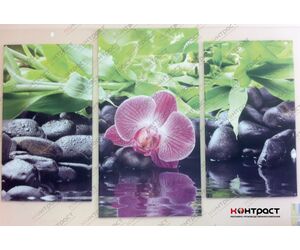 Холст - Типография "Контраст" - Products buy wholesale from manufacturer and supplier on UDM.MARKET