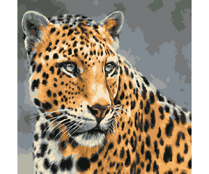 Painting by Numbers " The predator's gaze. Leopard" 40x50cm - ООО «Мега-Групп» - Toys & Hobbies  buy wholesale from manufacturer and supplier on UDM.MARKET