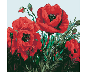 Painting by numbers "Poppies" 40x50 cm - ООО «Мега-Групп» - Toys & Hobbies  buy wholesale from manufacturer and supplier on UDM.MARKET