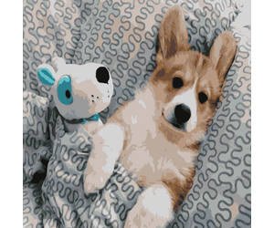 Painting by numbers "Corgi with a toy" 40x50 cm - ООО «Мега-Групп» - Toys & Hobbies  buy wholesale from manufacturer and supplier on UDM.MARKET