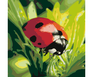 Paint by numbers "Ladybug" 40x50cm - ООО «Мега-Групп» - Toys & Hobbies  buy wholesale from manufacturer and supplier on UDM.MARKET
