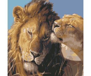Painting by numbers "Lions" 40x50 cm - ООО «Мега-Групп» - Toys & Hobbies  buy wholesale from manufacturer and supplier on UDM.MARKET