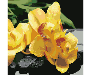 Картина по номерам "Желтая орхидея" 40х50см - ООО «Мега-Групп» - Игрушки и хобби купить оптом от производителя на UDM.MARKET
