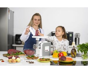 Электрическая мясорубка М43.01 Аксион - AXION CONCERN LLC / ООО Концерн «Аксион» - Мясорубки купить оптом от производителя на UDM.MARKET