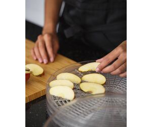 Vegetable and fruit dehydrator Т33 Axion green - AXION CONCERN LLC / ООО Концерн «Аксион» - Vegetable and fruit dehydrator buy wholesale from manufacturer and supplier on UDM.MARKET