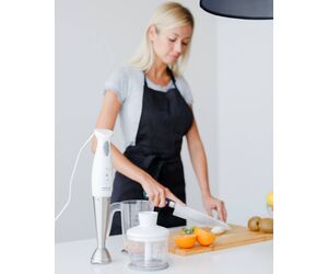 Blender ВР21.12 Axion - AXION CONCERN LLC / ООО Концерн «Аксион» - Blender buy wholesale from manufacturer and supplier on UDM.MARKET