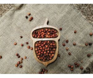 Тарелочка Орешек - ИП Абдуллин Р.Д. - Посуда купить оптом от производителя на UDM.MARKET