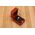 Шкатулка для кольца деревянная, торцевая 60х40х35 мм. - MTM WOOD LLC - Декор и интерьер купить оптом от производителя на UDM.MARKET