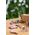 Деревянный Пазл Счастливый Корги - WOOD MAGIC - Игрушки и хобби купить оптом от производителя на UDM.MARKET