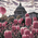 Картина по номерам "Тюльпаны в Лондоне" 40х50см - ООО «Мега-Групп» - Игрушки и хобби купить оптом от производителя на UDM.MARKET