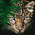 Картина по номерам "Леопард" 40х50см - ООО «Мега-Групп» - Игрушки и хобби купить оптом от производителя на UDM.MARKET