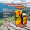 Non-alcoholic balm Gold Altai "Altai taiga" with pantohematogen, 250 ml. - АЛТАЙ БАЙ/ALTAY BAY - Agriculture & Food buy wholesale from manufacturer and supplier on UDM.MARKET