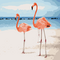 Painting by numbers "A couple of flamingos on the shore" 40x50 cm - ООО «Мега-Групп» - Toys & Hobbies  buy wholesale from manufacturer and supplier on UDM.MARKET