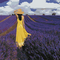 Painting by numbers "Girl in a lavender field" 40x50 cm - ООО «Мега-Групп» - Toys & Hobbies  buy wholesale from manufacturer and supplier on UDM.MARKET