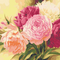 Painting by numbers "Peonies" 40x50 cm - ООО «Мега-Групп» - Toys & Hobbies  buy wholesale from manufacturer and supplier on UDM.MARKET
