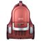 Vacuum cleaner P36 Axion red - AXION CONCERN LLC / ООО Концерн «Аксион» - Vacuum cleaner buy wholesale from manufacturer and supplier on UDM.MARKET